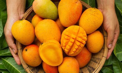 The Origin of the Mango: A Fascinating Tale Exploring Filipino Identity and Nature's Bounty!