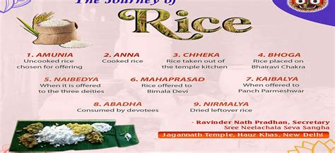 The Precious Rice: Unveiling the Mystical Journey of a Humble Grain Across Ancient Indonesia!